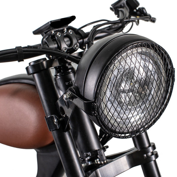 Head light protector